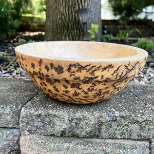 Fractal Burn Cottonwood Gorgeous Large Decorative Bowl Signed Lichtenberg 12.5"‎
